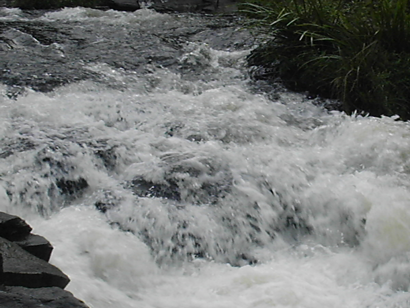 Flooded Stream