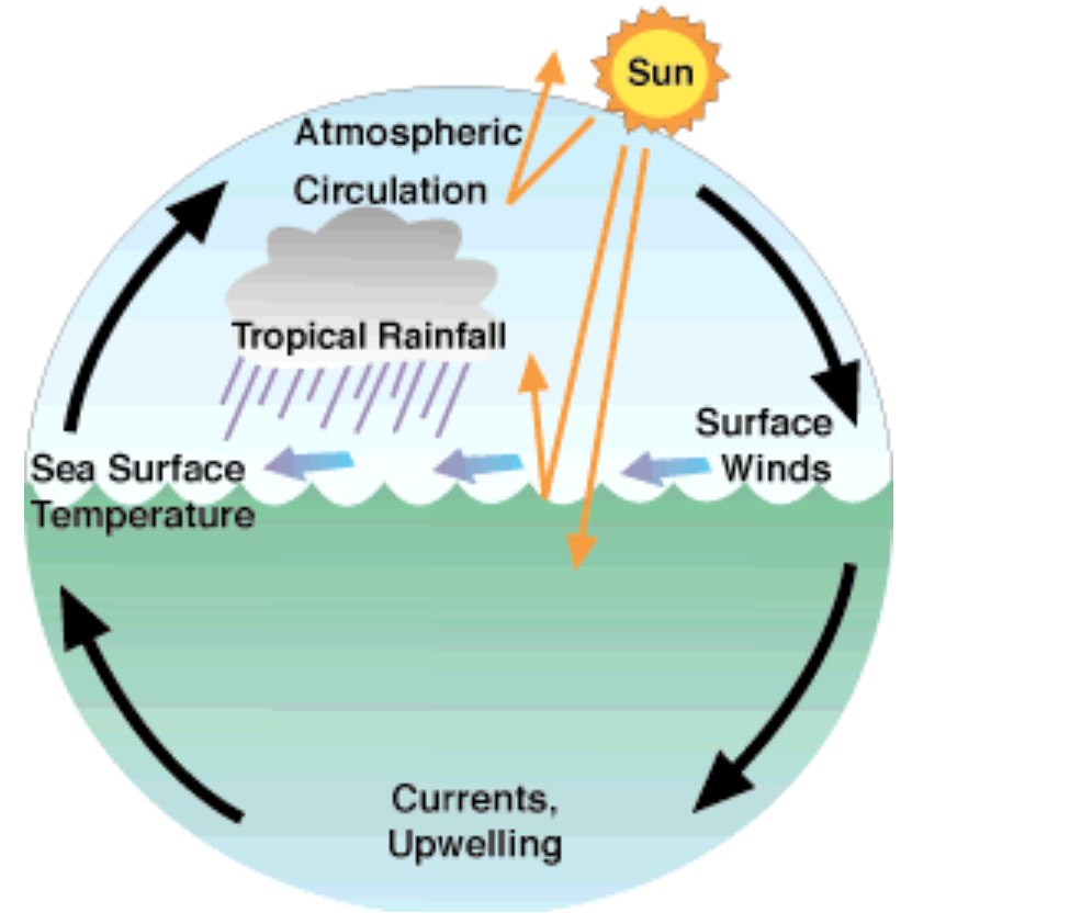 Varieties of interactions between air and sea